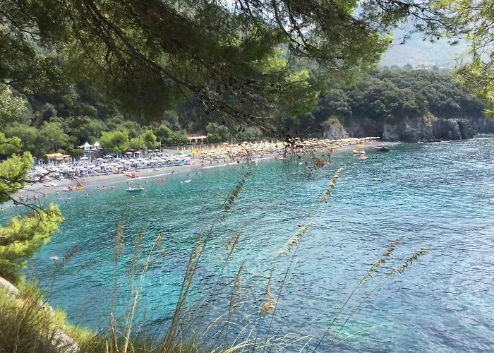 Villarosamaratea